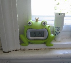 froggyfroggy